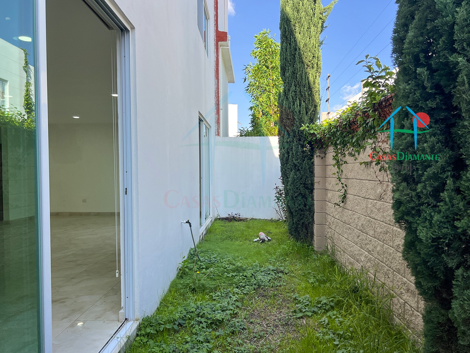 Parque Hidalgo Casa Miguel - Jardín 2